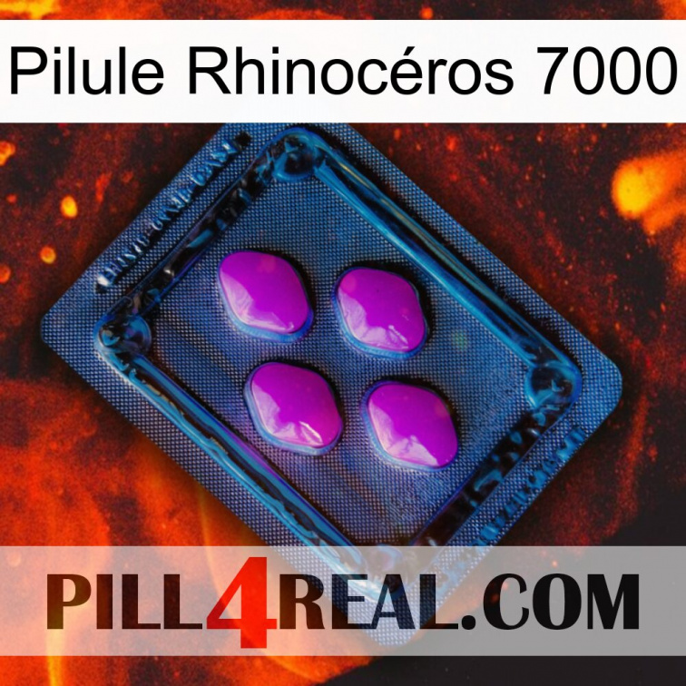Pilule Rhinocéros 7000 04
